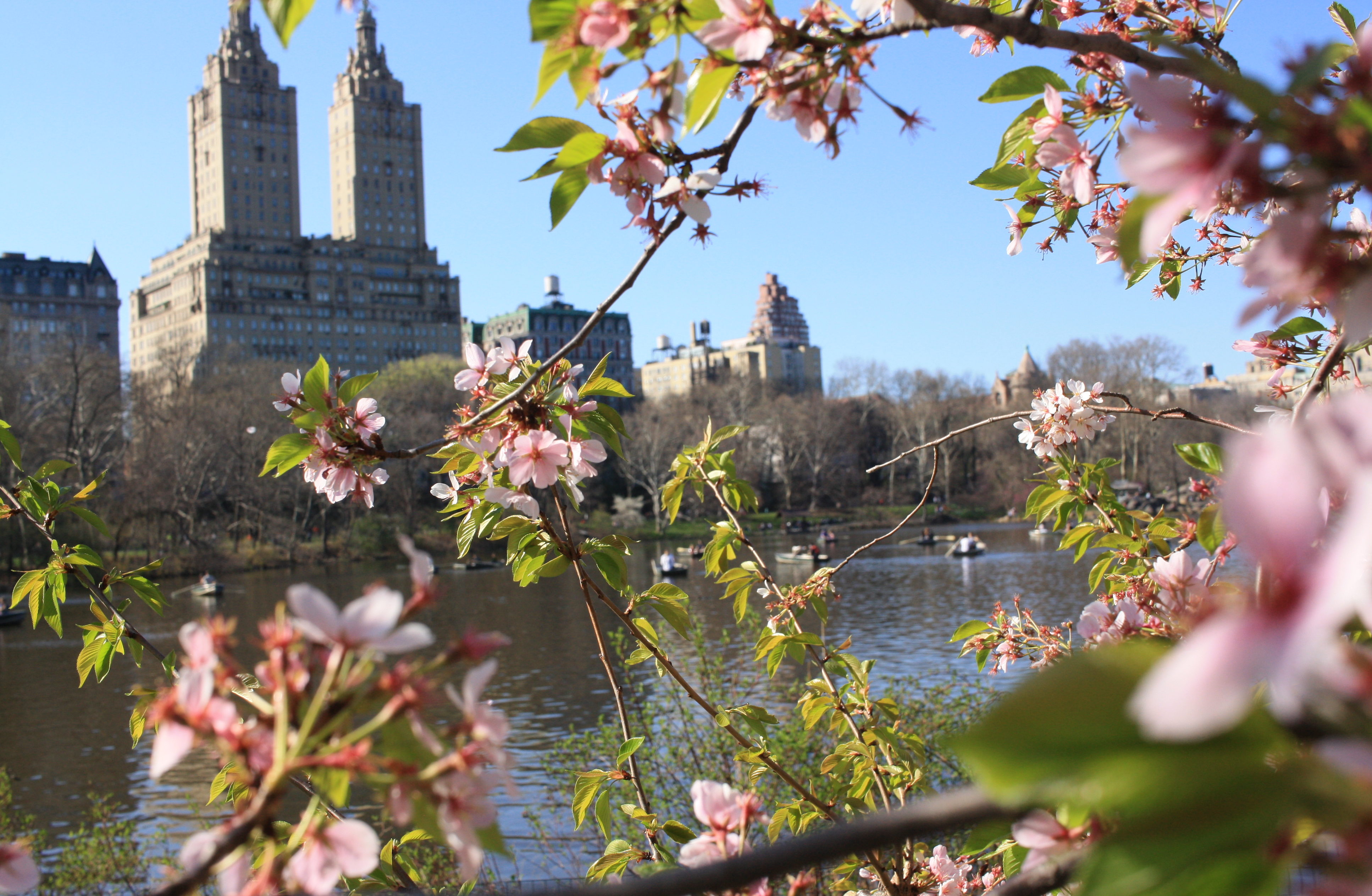 New York, en mode bucolique