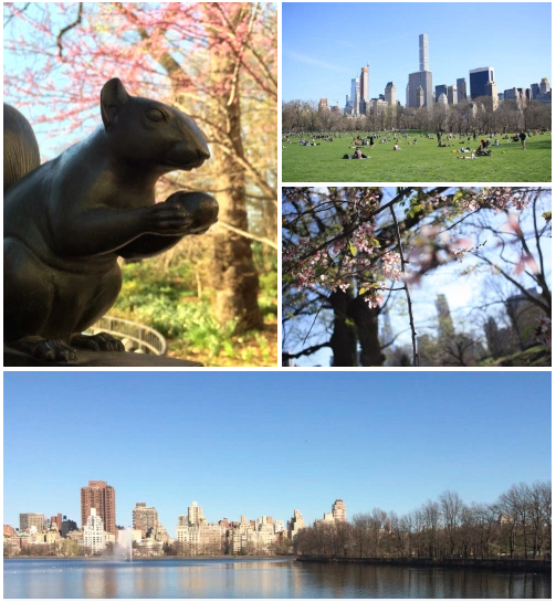 Great parks in NYC - Central Park