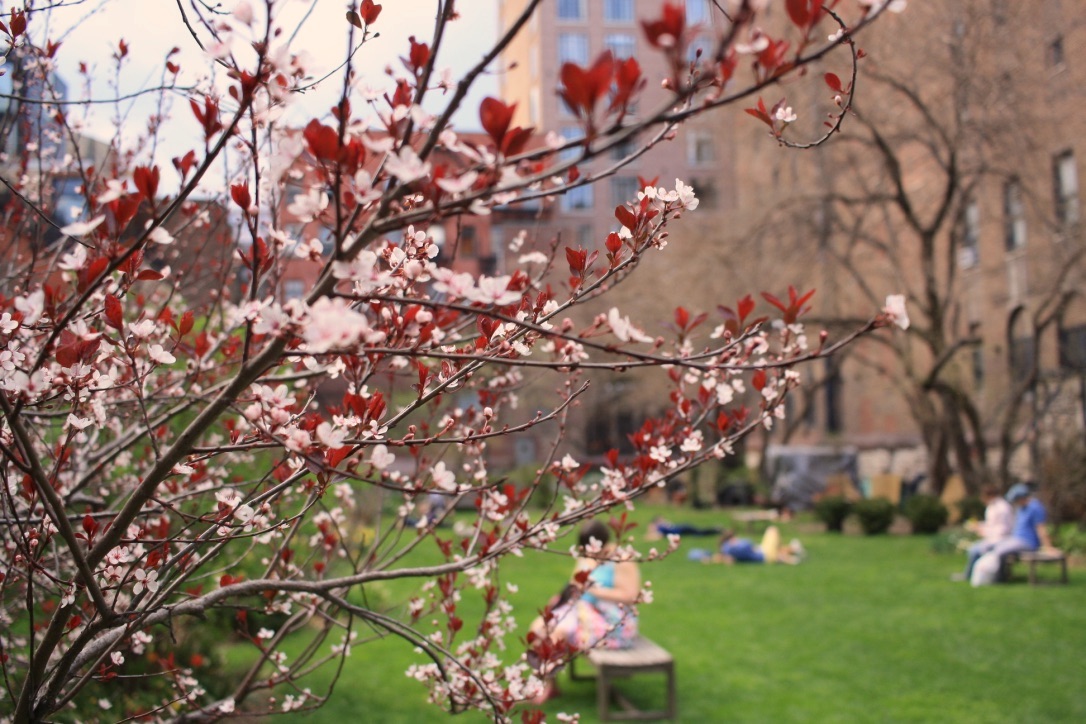 Great parks in NYC - New York Marble Cemetery